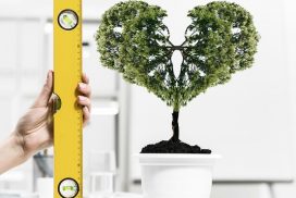 Close up of human hand measuring plant in pot with ruler